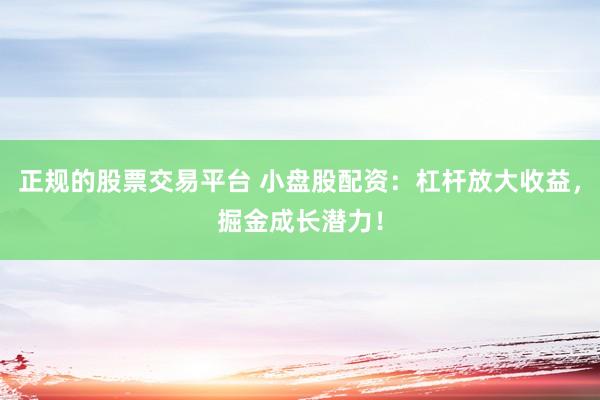 正规的股票交易平台 小盘股配资：杠杆放大收益，掘金成长潜力！