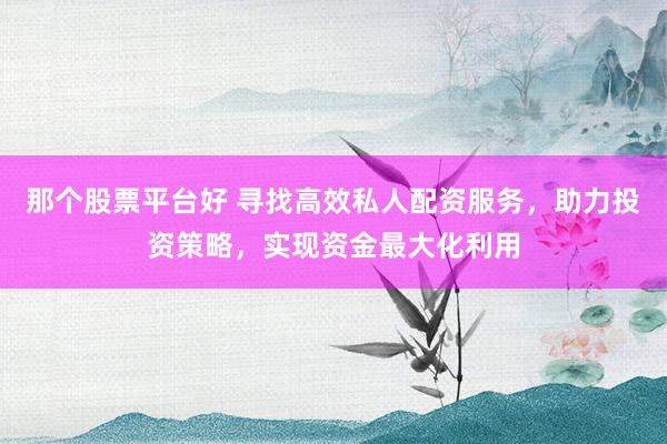 那个股票平台好 寻找高效私人配资服务，助力投资策略，实现资金最大化利用