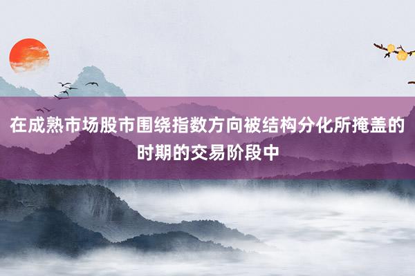 在成熟市场股市围绕指数方向被结构分化所掩盖的时期的交易阶段中