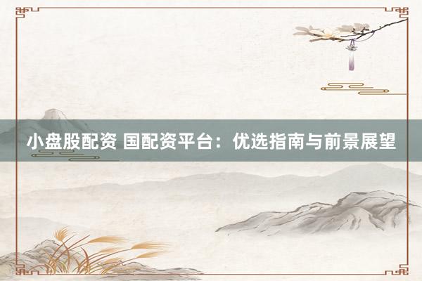 小盘股配资 国配资平台：优选指南与前景展望