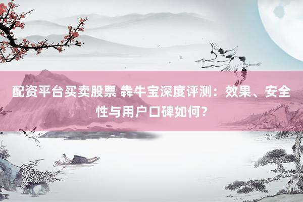 配资平台买卖股票 犇牛宝深度评测：效果、安全性与用户口碑如何？